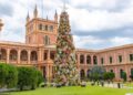 Encendido del Árbol de Navidad se realizará este miércoles 3 de diciembre en Palacio de López