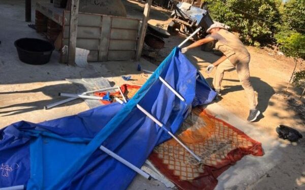 SENEPA y aliados interinstitucionales desarrollan jornada de prevención de criaderos en Pilar