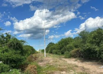 ANDE puso en servicio nueva línea de media tensión que fortalece suministro eléctrico en el Chaco