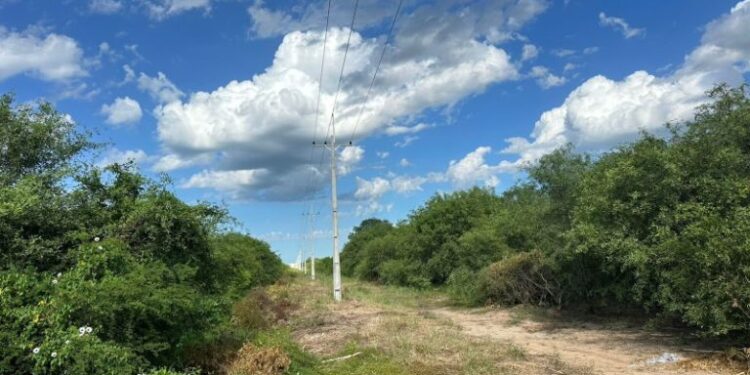 ANDE puso en servicio nueva línea de media tensión que fortalece suministro eléctrico en el Chaco