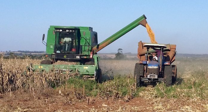 Agroindustria alcanzó mayor molienda de soja de los últimos años con 3,19 millones de toneladas