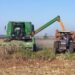 Agroindustria alcanzó mayor molienda de soja de los últimos años con 3,19 millones de toneladas