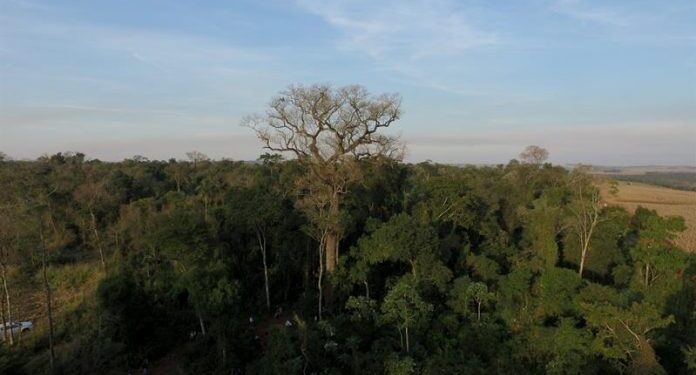 Paraguay presentó oficialmente su nueva hoja de ruta para la conservación de la biodiversidad