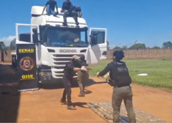 Cocaína incautada en Pedro Juan Caballero totaliza 425 kilos y tenía como destino Brasil