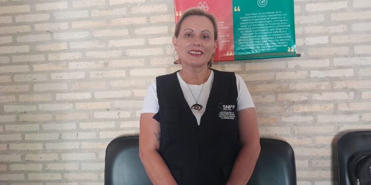 FERIA DE DESAPEGO LLEGA A VILLARRICA ESTE SÁBADO