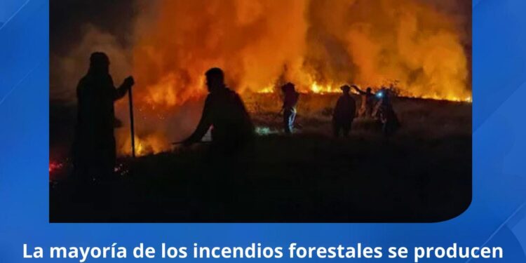 PREVENCIÓN DE INCENDIOS: DATOS Y RECOMENDACIONES A LA CIUDADANÍA
