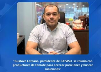 SUPERMERCADOS Y PRODUCTORES BUSCAN SOLUCIONES PARA BAJAR EL PRECIO DEL TOMATE