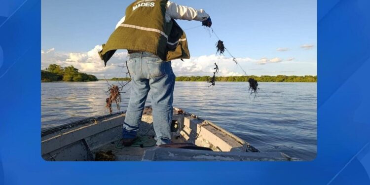 CONVENIO INTERINSTITUCIONAL PARA JORNADAS DE CEDULACIÓN Y LICENCIAMIENTO DE PESCADORES EN EL DEPARTAMENTO DE GUAIRÁ