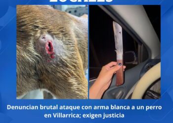 GRAVE HECHO DE MALTRATO ANIMAL EN GUAIRÁ: FAMILIA PIDE JUSTICIA