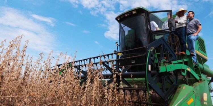 Índice de Actividad Económica culminó con 12 meses de expansión para todos los sectores en el 2025