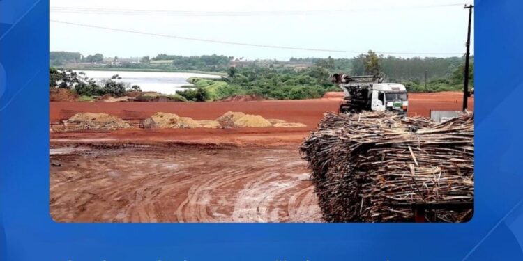 CAÑICULTORES DE TROCHE EMPLAZAN A PETROPAR Y ANUNCIAN MOVILIZACIÓN