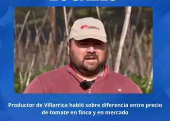 PRODUCTOR DE ESPINILLO COMENTA SOBRE EL COSTO DEL TOMATE