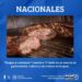 CHEF WALDI RIVEROS ANUNCIA “FUEGOS AL ATARDECER”, EVENTO QUE COMBINARÁ NATURALEZA, CULTURA Y GASTRONOMÍA