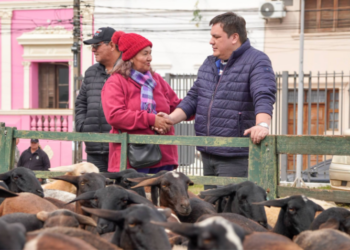 GOBERNACIÓN DE GUAIRÁ REALIZÓ ENTREGAS PARA FORTALECER PRODUCCIÓN OVINA