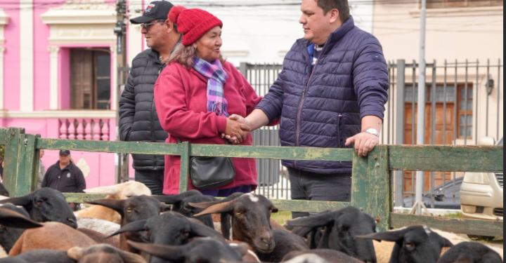 GOBERNACIÓN DE GUAIRÁ REALIZÓ ENTREGAS PARA FORTALECER PRODUCCIÓN OVINA